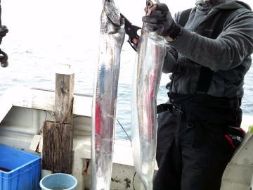 五郎丸の2026年2月15日(日)2枚目の写真