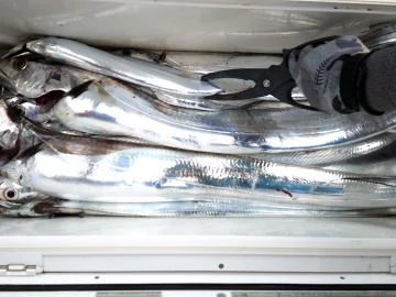 五郎丸の2026年2月15日(日)3枚目の写真