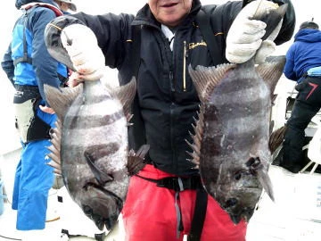 五郎丸の2026年2月14日(土)1枚目の写真