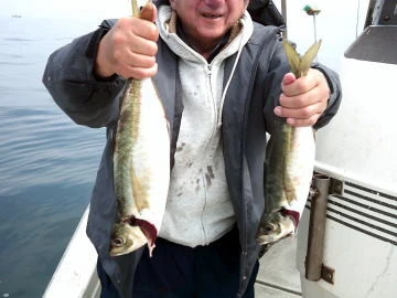 五郎丸の2026年2月14日(土)2枚目の写真