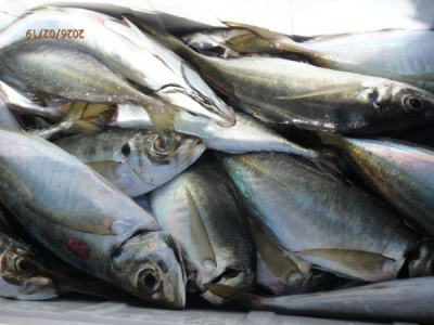 たるみの2026年2月19日(木)1枚目の写真