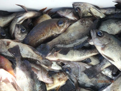 たるみの2026年2月18日(水)2枚目の写真