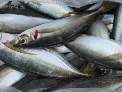 たるみの2026年2月15日(日)3枚目の写真