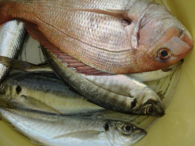 たるみの2026年2月15日(日)4枚目の写真