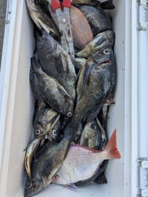 黒岩フィッシングサービスの2026年2月20日(金)2枚目の写真