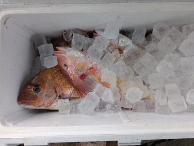 ヨシダマリンの2026年2月22日(日)2枚目の写真