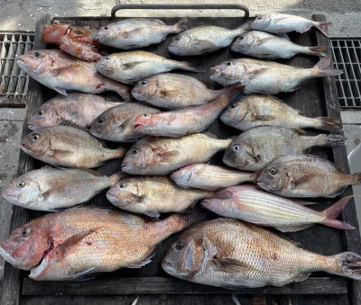 ヨシダマリンの2026年2月22日(日)3枚目の写真