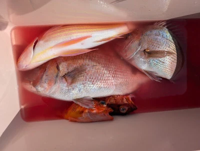 ヨシダマリンの2026年2月21日(土)3枚目の写真