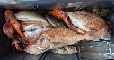 ヨシダマリンの2026年2月21日(土)4枚目の写真