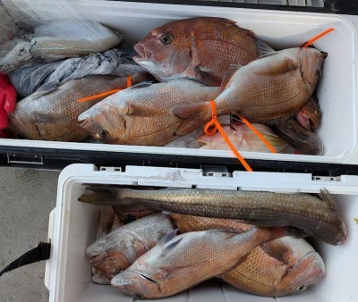 ヨシダマリンの2026年2月21日(土)5枚目の写真