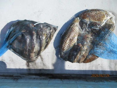 レンタルボート清家の2026年2月26日(木)1枚目の写真