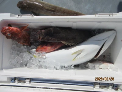 レンタルボート清家の2026年2月26日(木)2枚目の写真