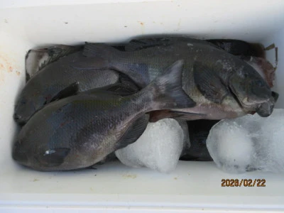 レンタルボート清家の2026年2月22日(日)1枚目の写真