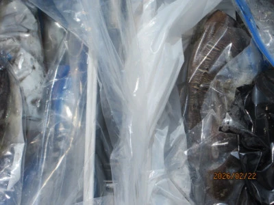 レンタルボート清家の2026年2月22日(日)2枚目の写真