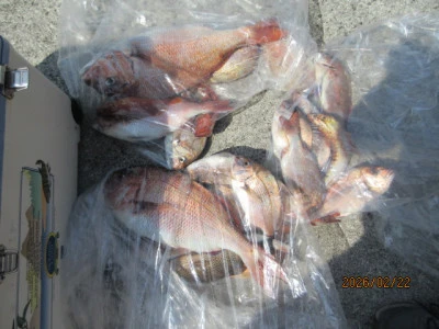 レンタルボート清家の2026年2月22日(日)4枚目の写真