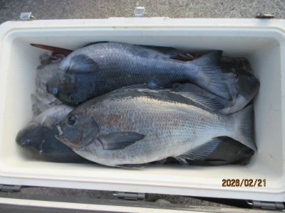 レンタルボート清家の2026年2月21日(土)1枚目の写真