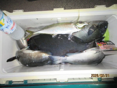 レンタルボート清家の2026年2月21日(土)3枚目の写真