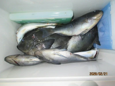 レンタルボート清家の2026年2月21日(土)4枚目の写真