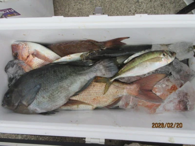 レンタルボート清家の2026年2月20日(金)1枚目の写真