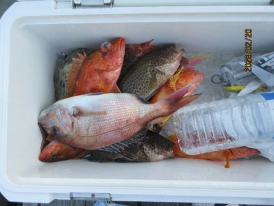 レンタルボート清家の2026年2月20日(金)3枚目の写真