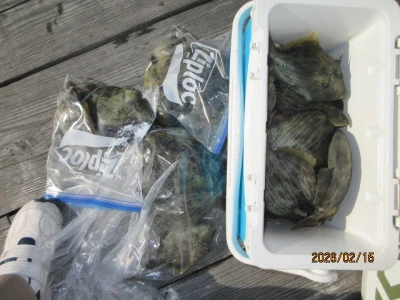 レンタルボート清家の2026年2月15日(日)1枚目の写真