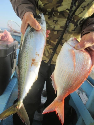 松福丸の2026年2月21日(土)5枚目の写真