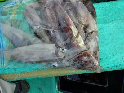 第八鶴丸の2026年2月28日(土)2枚目の写真