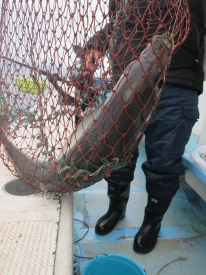 松福丸の2026年2月27日(金)3枚目の写真