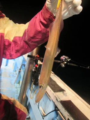 松福丸の2026年2月27日(金)5枚目の写真