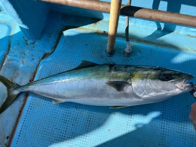 華丸の2026年2月21日(土)1枚目の写真