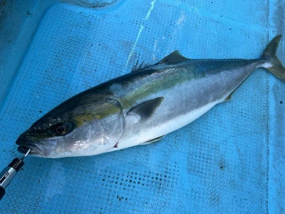 華丸の2026年2月21日(土)2枚目の写真