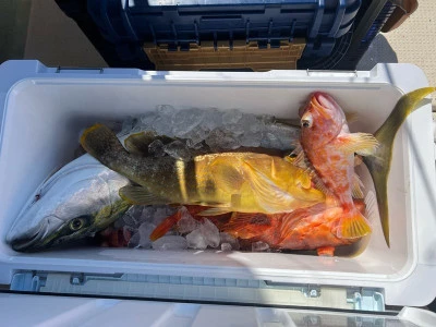 華丸の2026年2月21日(土)3枚目の写真