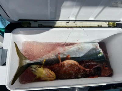 華丸の2026年2月21日(土)4枚目の写真