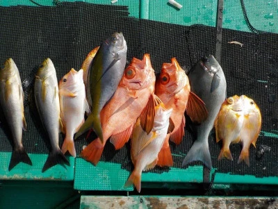 天昇丸の2026年2月28日(土)2枚目の写真