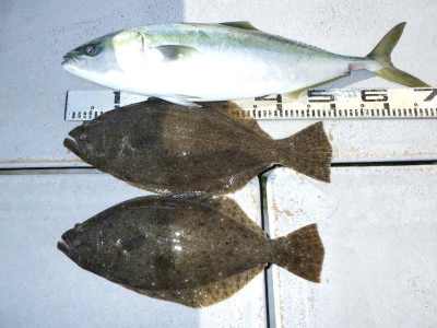 磯部釣船 直栄丸の2026年2月22日(日)1枚目の写真