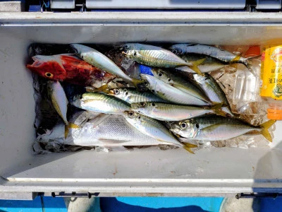 ゆきみ丸の2026年2月28日(土)1枚目の写真