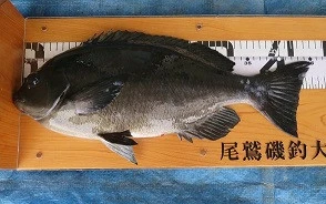 宮城野渡船の2026年2月28日(土)1枚目の写真