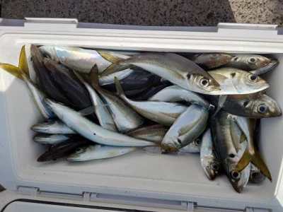 釣船 五郎丸の2026年2月28日(土)3枚目の写真