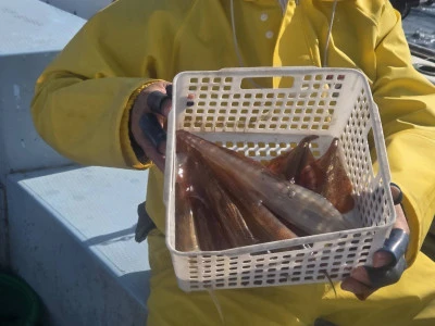 春盛丸の2026年3月1日(日)4枚目の写真