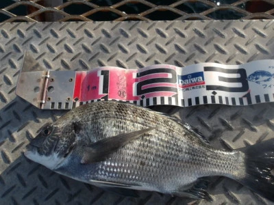 下関フィッシングパークの2026年3月1日(日)2枚目の写真