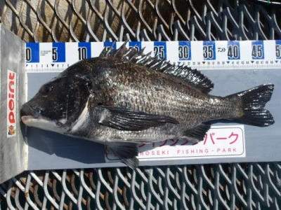 下関フィッシングパークの2026年3月1日(日)3枚目の写真