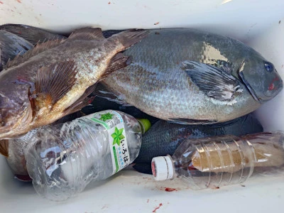 清家渡船の2026年3月1日(日)2枚目の写真