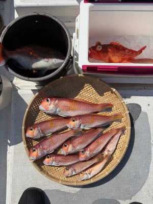 鶴丸の2026年3月1日(日)1枚目の写真