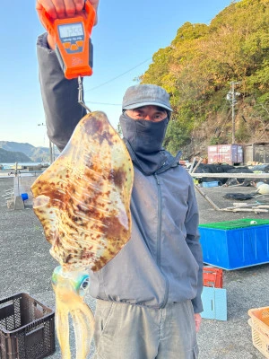 光丸の2026年3月1日(日)1枚目の写真