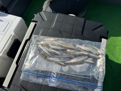 アウトドアハウスアオノの2026年3月1日(日)1枚目の写真