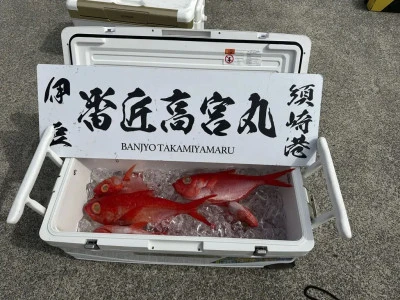 番匠高宮丸の2026年3月1日(日)3枚目の写真