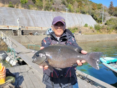 正丸の2026年3月1日(日)2枚目の写真