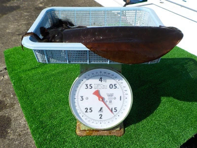 釣り船 久勝丸の2026年3月1日(日)5枚目の写真