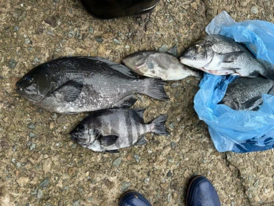 前田渡船の2026年2月27日(金)1枚目の写真