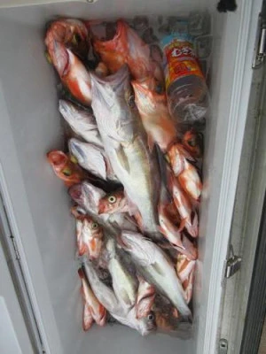 鈴木釣具店の2026年2月26日(木)1枚目の写真